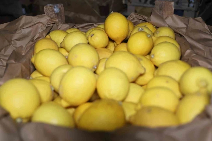 Kapadokya bölgesindeki limon depoları denetleniyor
