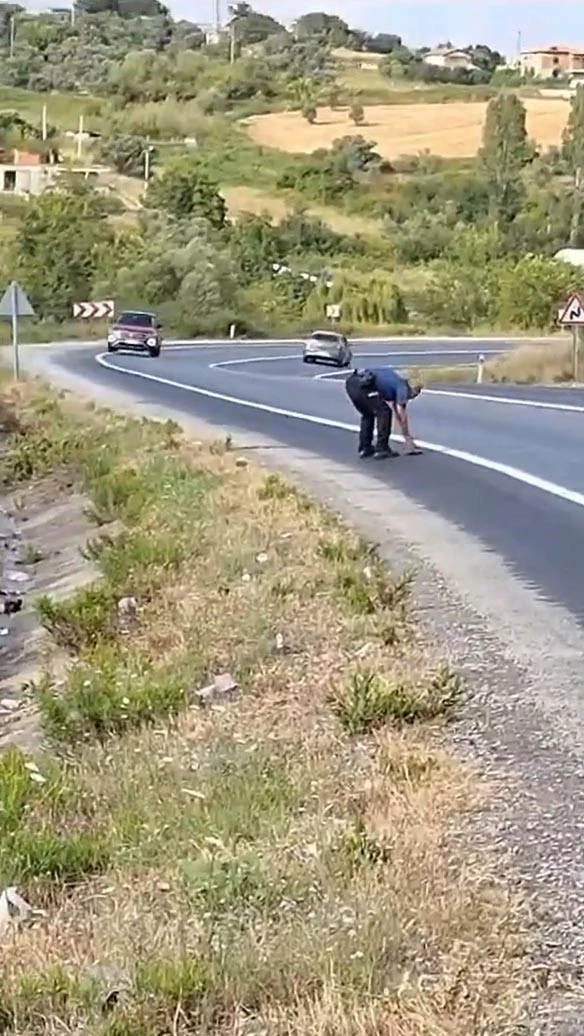 Kaplumbağayı ezilmekten kurtaran polis takdir topladı
