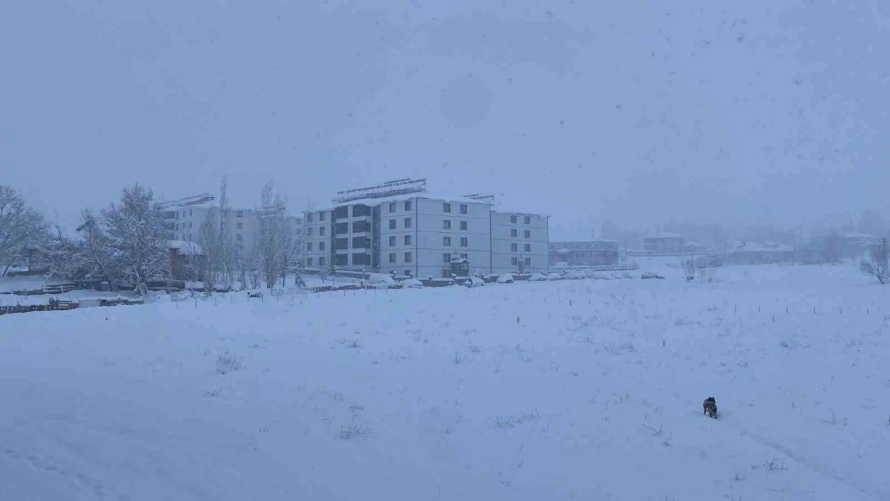 Kar, bir ilçenin tüm köy yollarını ulaşıma kapattı
