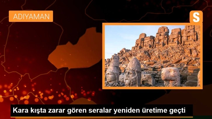 Kara kışta zarar gören seralar yeniden üretime geçti