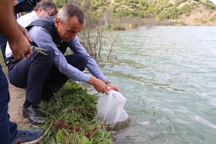 Karabük’te 20 bin yavru sazan balık gölle buluştu
