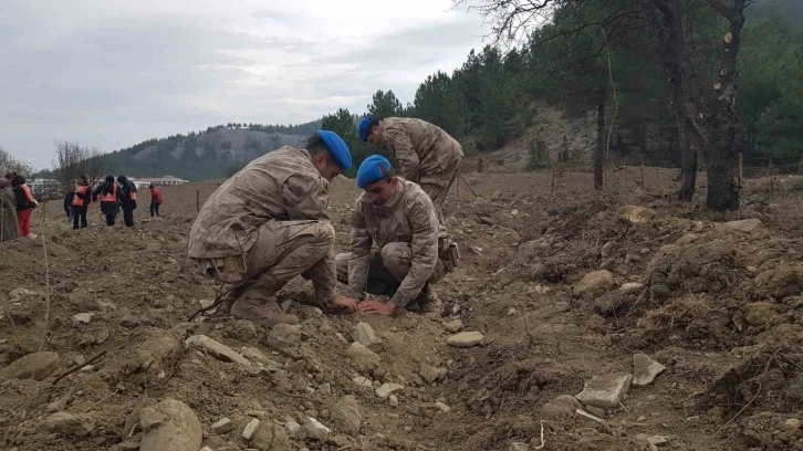 Karabük’te 41 noktada 52 bin 46 fidan toprakla buluşturuldu
