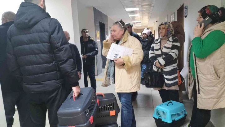 Karabük’te evcil hayvanlar için çip ve aşı yoğunluğu yaşanıyor
