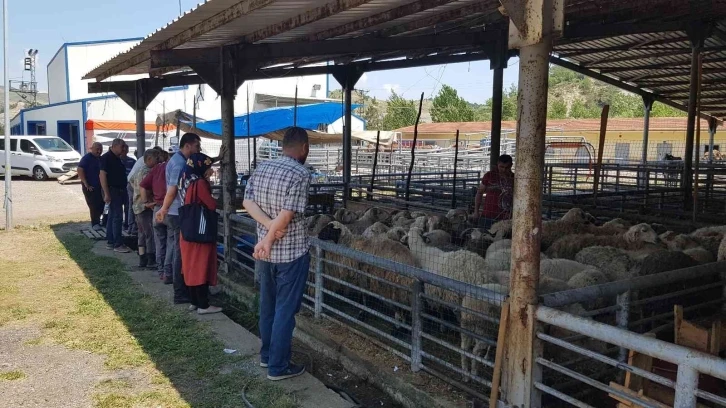 Karabük’te hayvan pazarında gözler arife gününde
