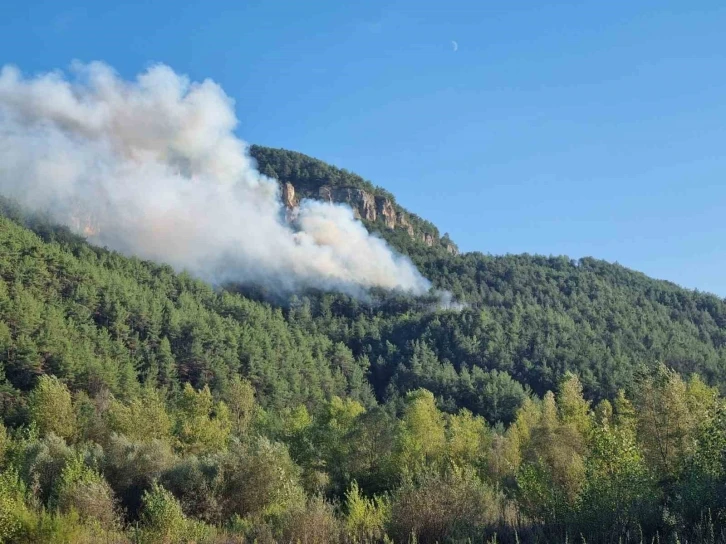 Karabük’te orman yangını
