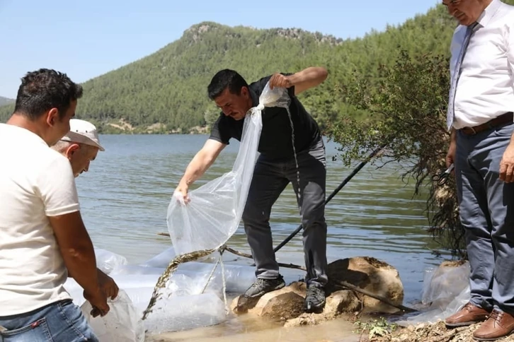 Karacaören Barajına 115 bin balık bırakıldı
