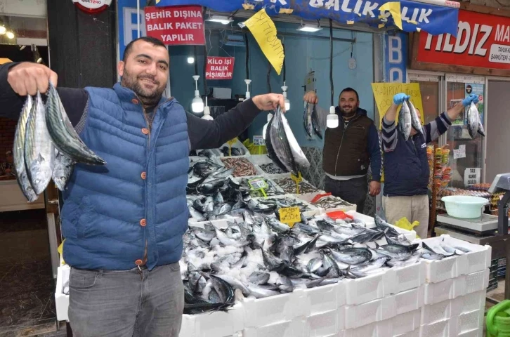 Karadeniz’de palamut bereketi: 3 tanesi 100 TL
