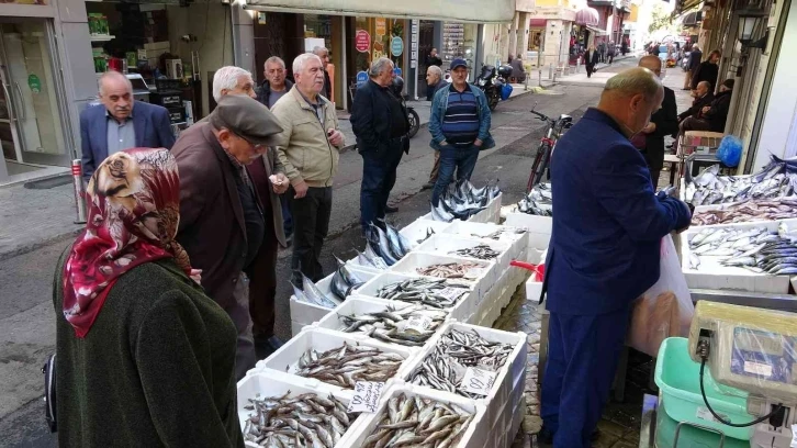 Karadeniz’de palamut bolluğu: Balıkçılarda kuyruk
