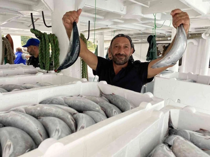 Karadeniz’de palamut fışkırdı
