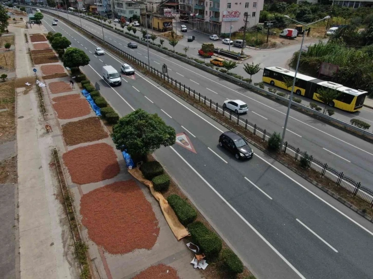 Karadeniz Sahil Yolu fındıkçılar için harman yeri oldu
