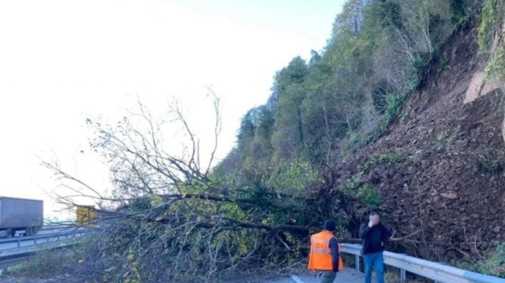 Karadeniz Sahil Yolu'nda heyelan