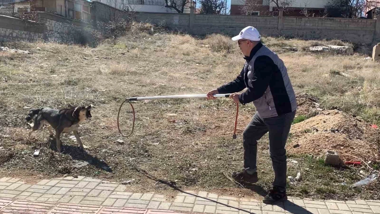 Karaman’da köpeğin saldırısından oğlunu kurtarmak isteyen baba yaralandı
