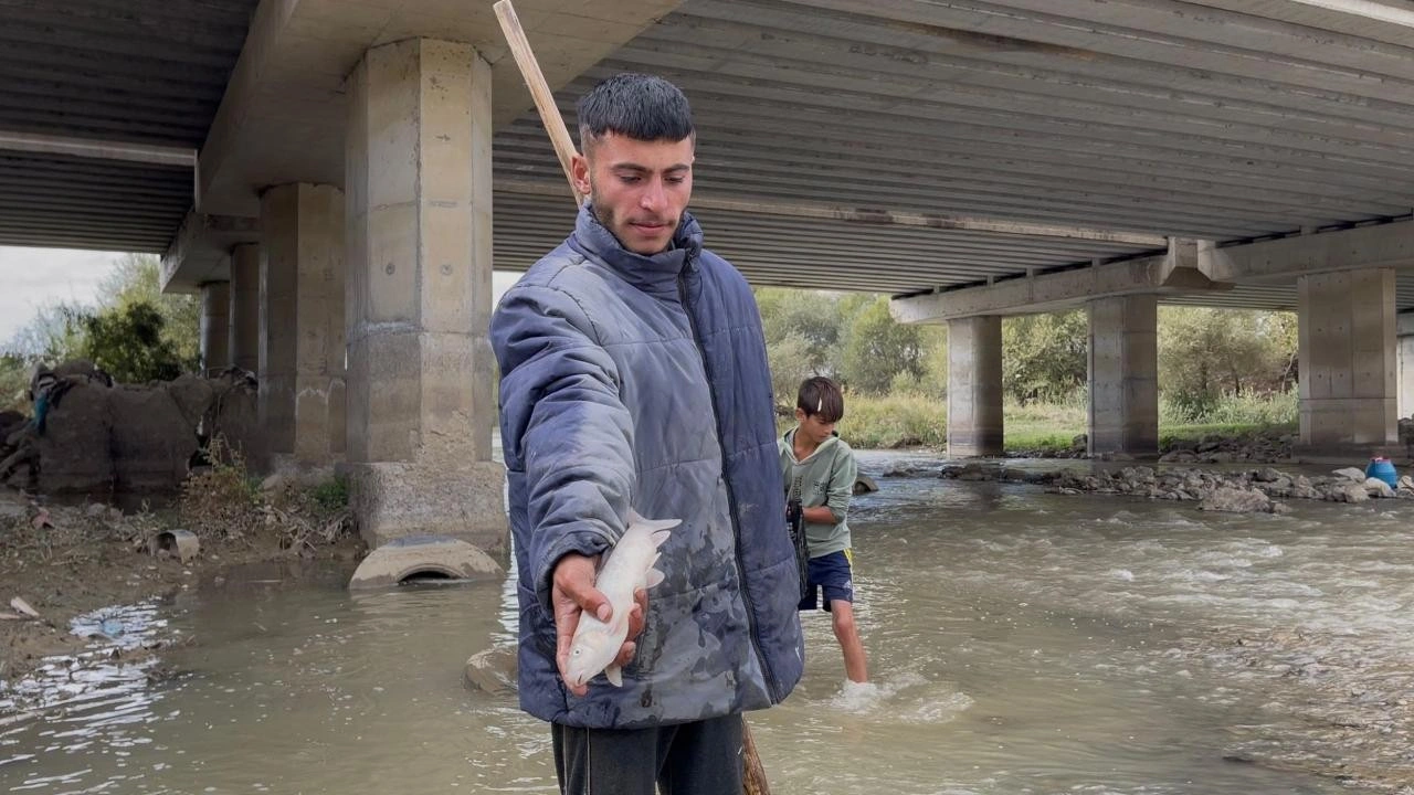 Karasu Nehri'nde balık ölümleri