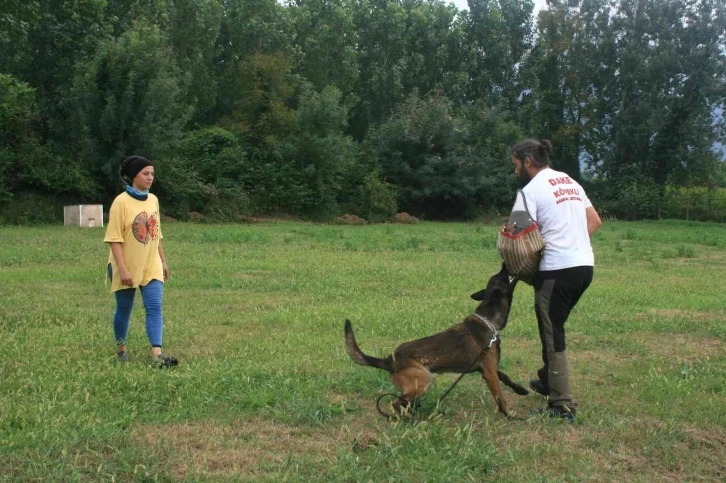 Karı koca çift hayatlarını köpek eğitimine adadı
