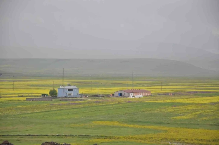 Kars gökkuşağı gibi
