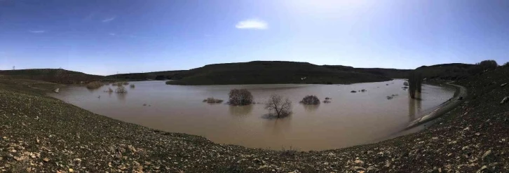 Kars’ta ağaçlar baraj suyu altında kaldı
