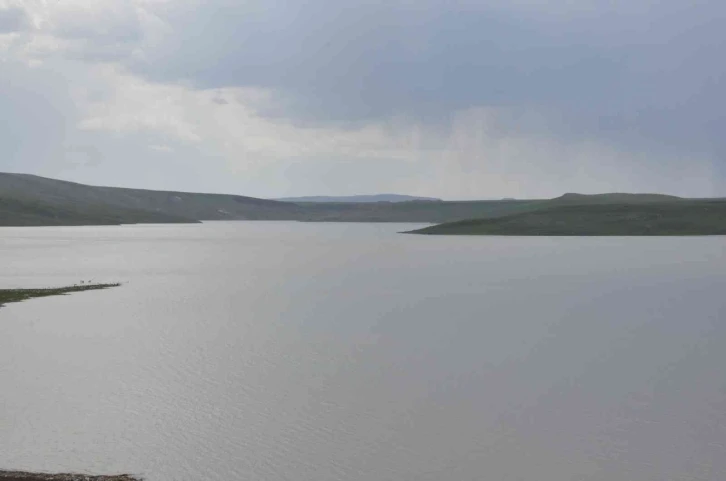 Kars’ta balık avı yasağı bugün başladı
