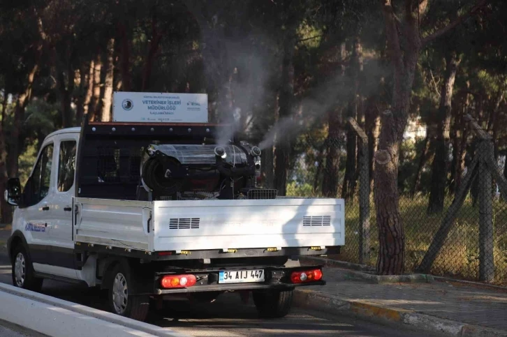 Kartal’da vektörle mücadele ve ilaçlama hizmetleri devam ediyor
