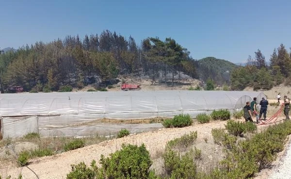 Kaş'ta 2 hektarlık kızılçam ormanı yandı