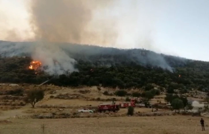 Kaş’ta orman yangını kontrol altına alındı
