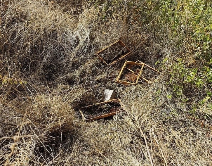 Kastamonu’da bağ evine gelen ayılar, 10 adet arı kovanını parçalayarak balları yedi
