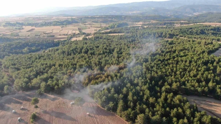 Kastamonu’da orman yangını kontrol altına alındı
