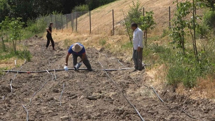 Kavurucu sıcaklıkta üretim mesaisi
