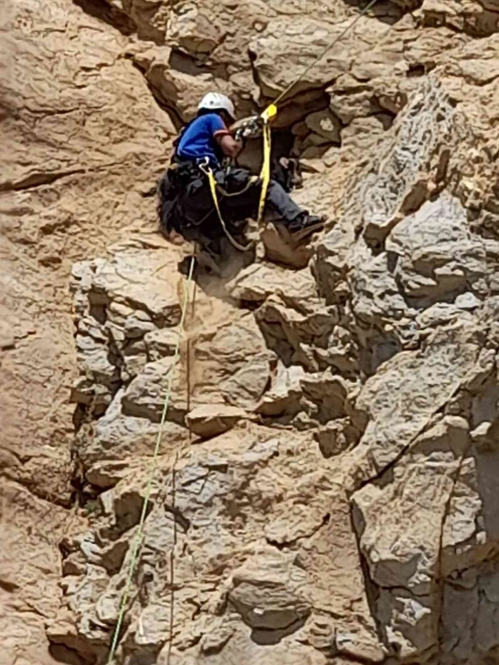 Kayalıklarda mahsur kalan keçi 4 gün sonra kurtarıldı
