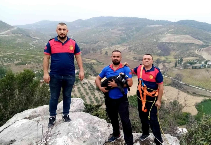 Kayalıklarda mahsur kalan keçi yavrusu kurtarıldı
