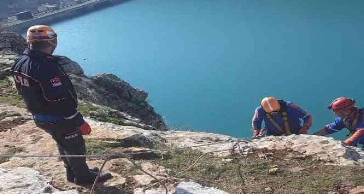 Kayalıklarda mahsur kalan keçiler halatlarla kurtarıldı