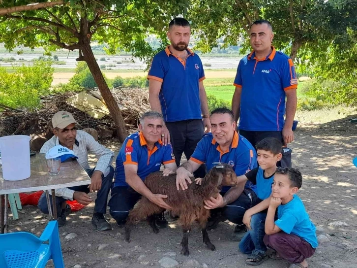 Kayalıklarda mahsur kalan keçiyi AFAD kurtardı
