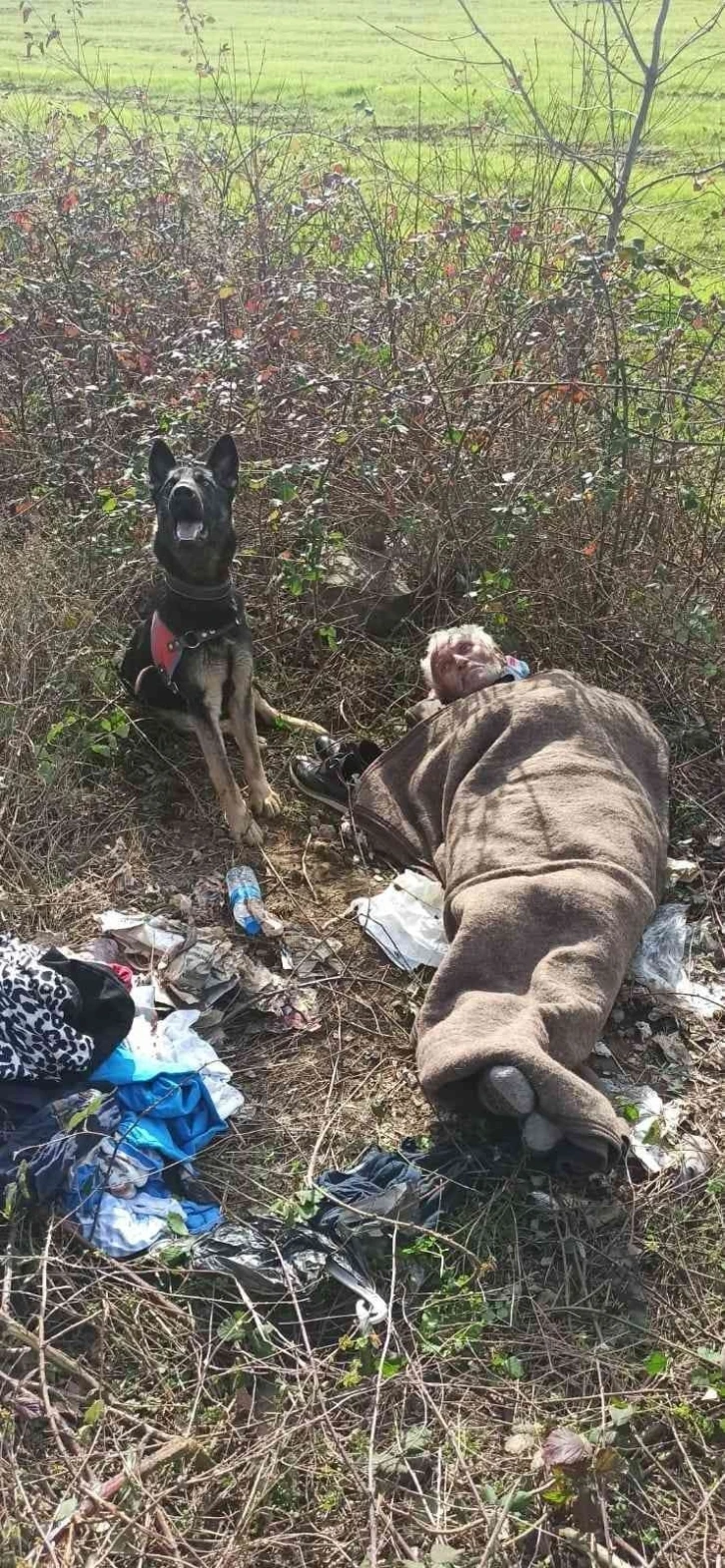 Kaybolan yaşlı adamı jandarma iz takip köpeği buldu
