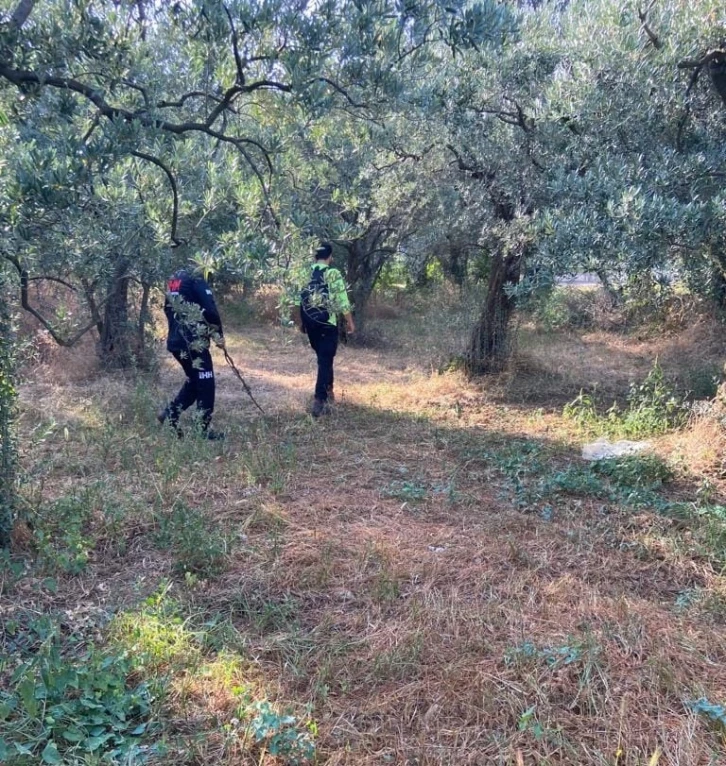 Kayıp öğretmeni arama çalışmaları devam ediyor
