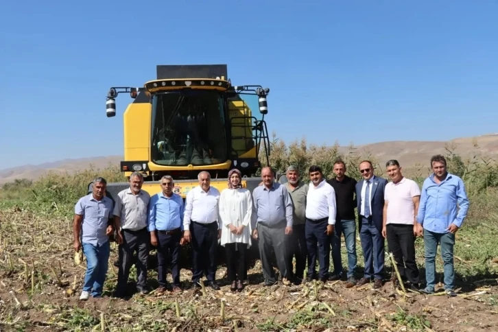 Kaymakam Duman ayçiçeği hasadına katıldı
