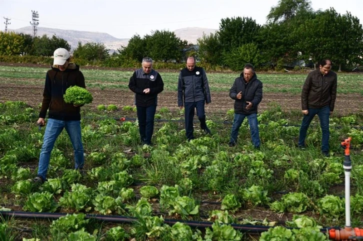 Kayseri’de ilk kez "ıceberg marul" ekildi
