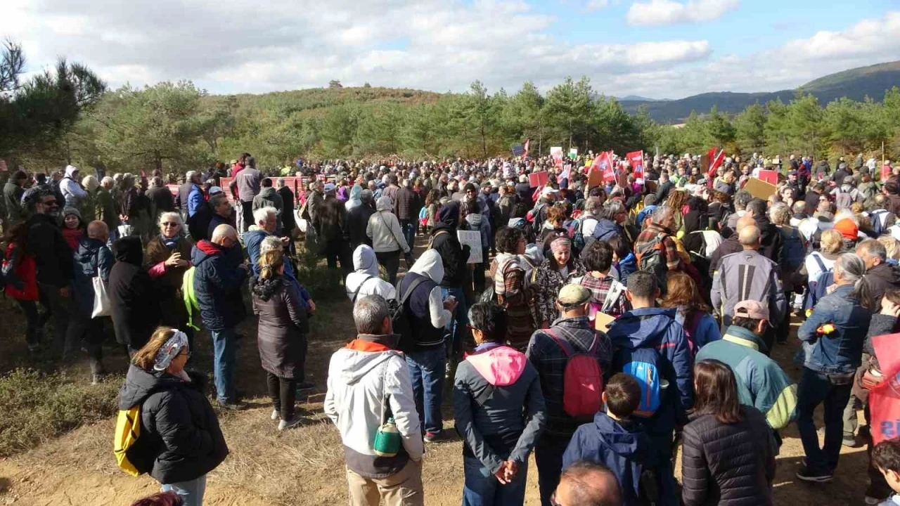 Kaz Dağları’ndaki ağaç kesimine çevrecilerden tepki
