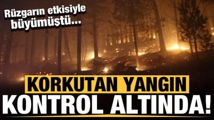 Kaz Dağları'nda yangın kontrol altına alındı