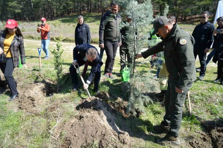 Kazdağları’nda fidanlar toprak ile buluştu
