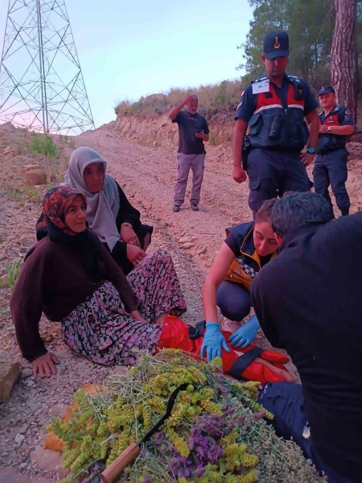 Kekik toplamak isterken ayağı burkulup yere düşen kadın hastanelik oldu
