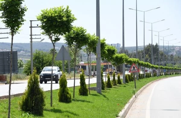 Kentin ana giriş çıkış güzergahı daha renkli bir görünüme kavuştu