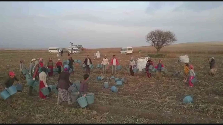 Kep atma değil, hasat sona erme töreni
