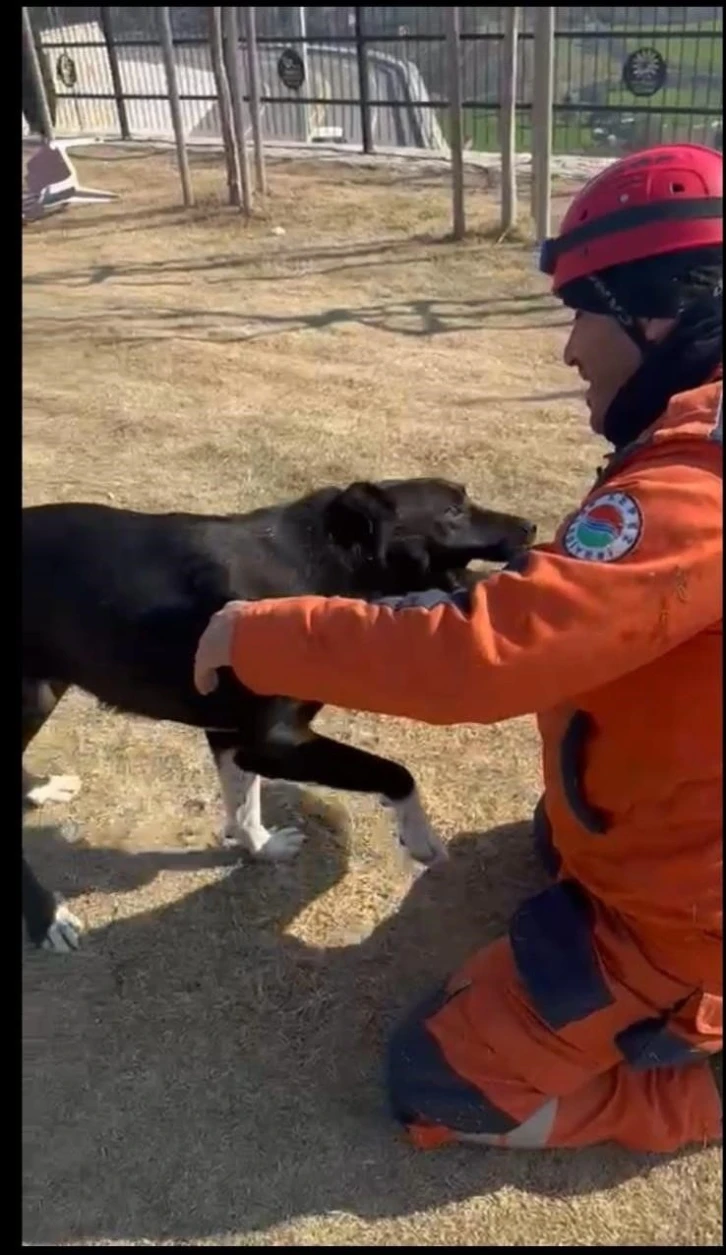 Kepez Belediyesi enkazdan kurtardığı köpeği sahiplendi
