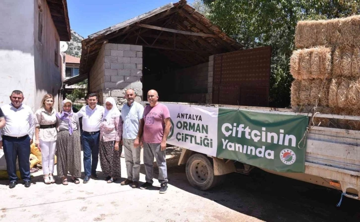 Kepez’de hayvancılıkla uğraşan çiftçilere saman desteği
