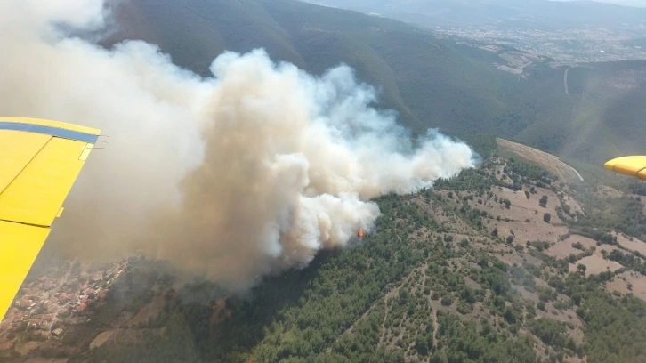 Kepsut’ta orman yangını
