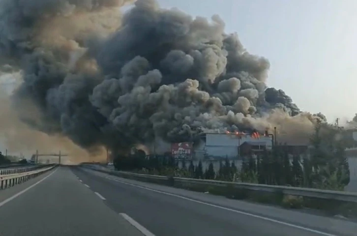 Kereste fabrikası alev alev yandı, dumanları D-650 kara yolunu kapladı
