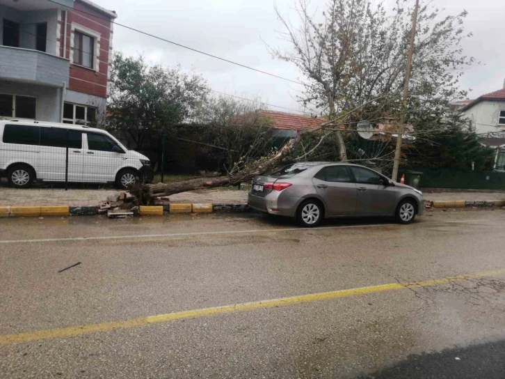 Keşan’da şiddetli rüzgar nedeniyle otomobilin üzerine ağaç devrildi
