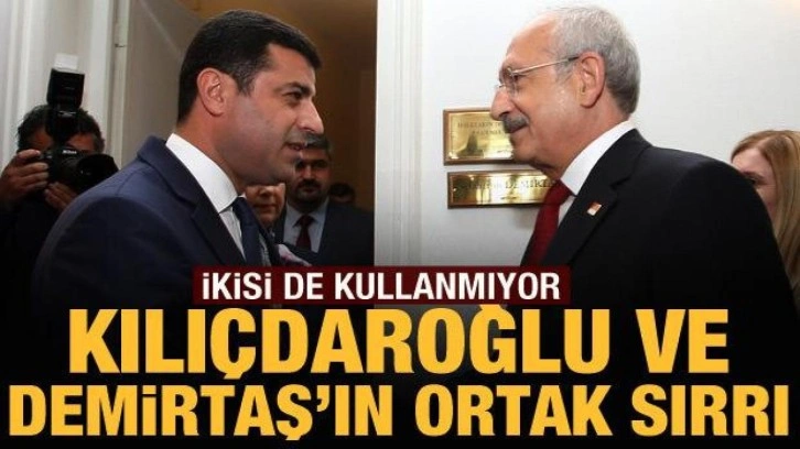 Kılıçdaroğlu ve Demirtaş'ın ortak sırrı