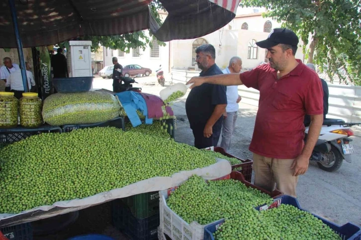 Kilis’te yerli sofralık zeytin tezgahlarda yerini aldı
