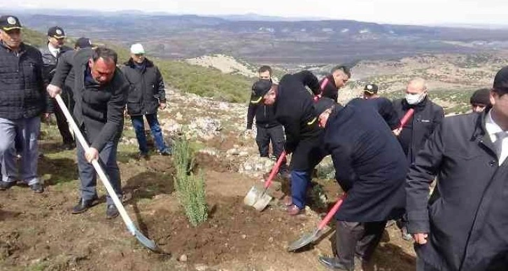 Kilis’te bal ormanı oluşturuluyor