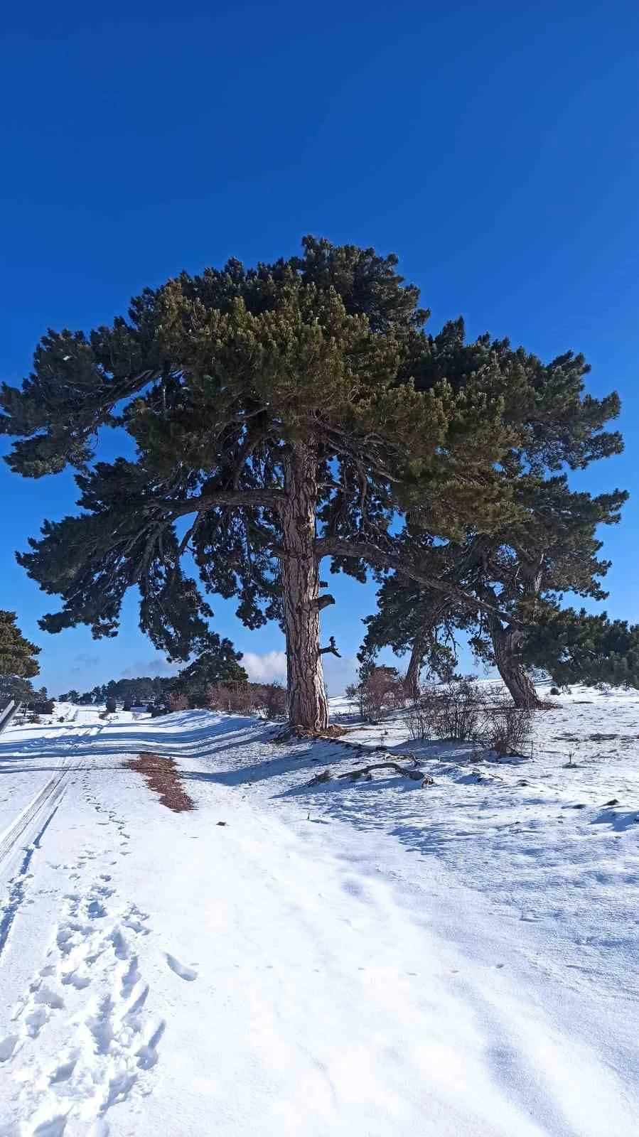 Kırka Mahallesi beyaza büründü
